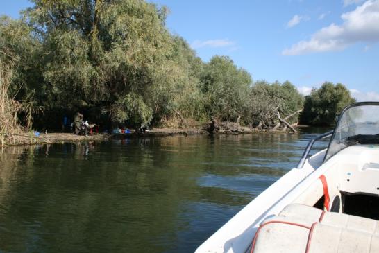 Angeln in Donaudelta: Im Bereich  von Murighiol