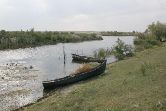 Im Donaudelta: Landschaft des Donaudeltas mit 2 Ruderboote