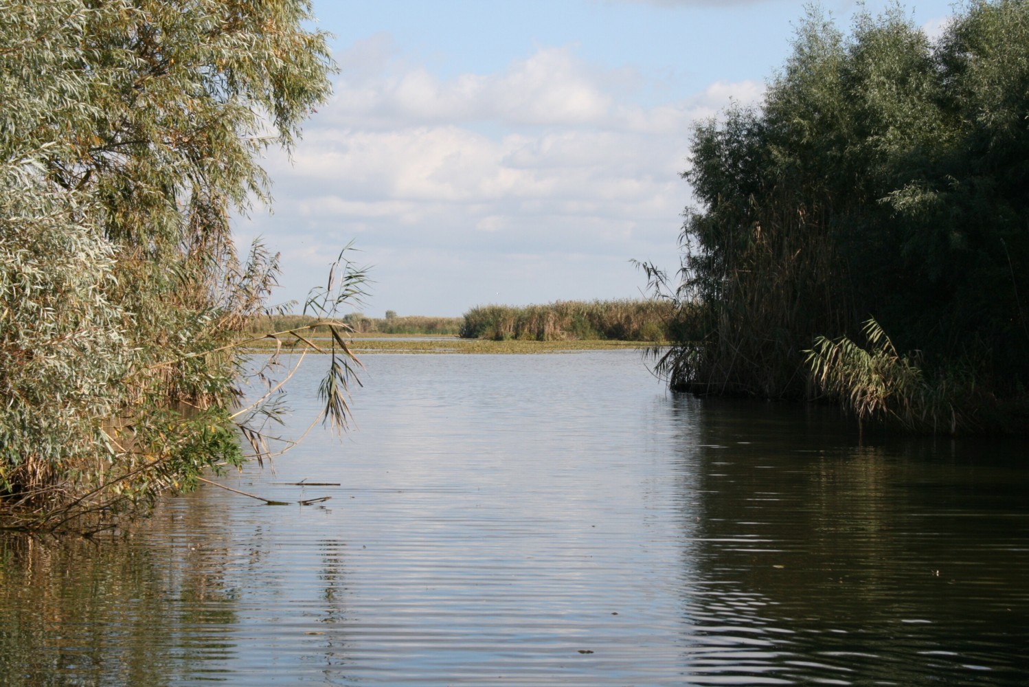 Im Donaudelta bei Murighiol: Blick auf einen See im Donaudelta